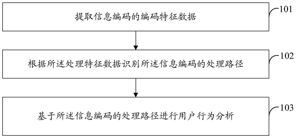 Behavior Analysis Based on Information Coding, Information Coding Risk Analysis Method and Device