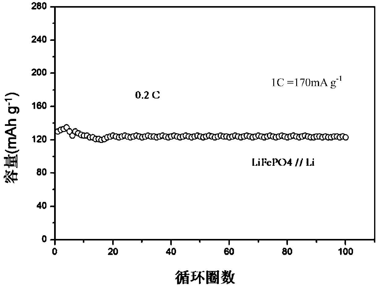Solid polymer electrolyte and application of solid polymer electrolyte in lithium metal battery
