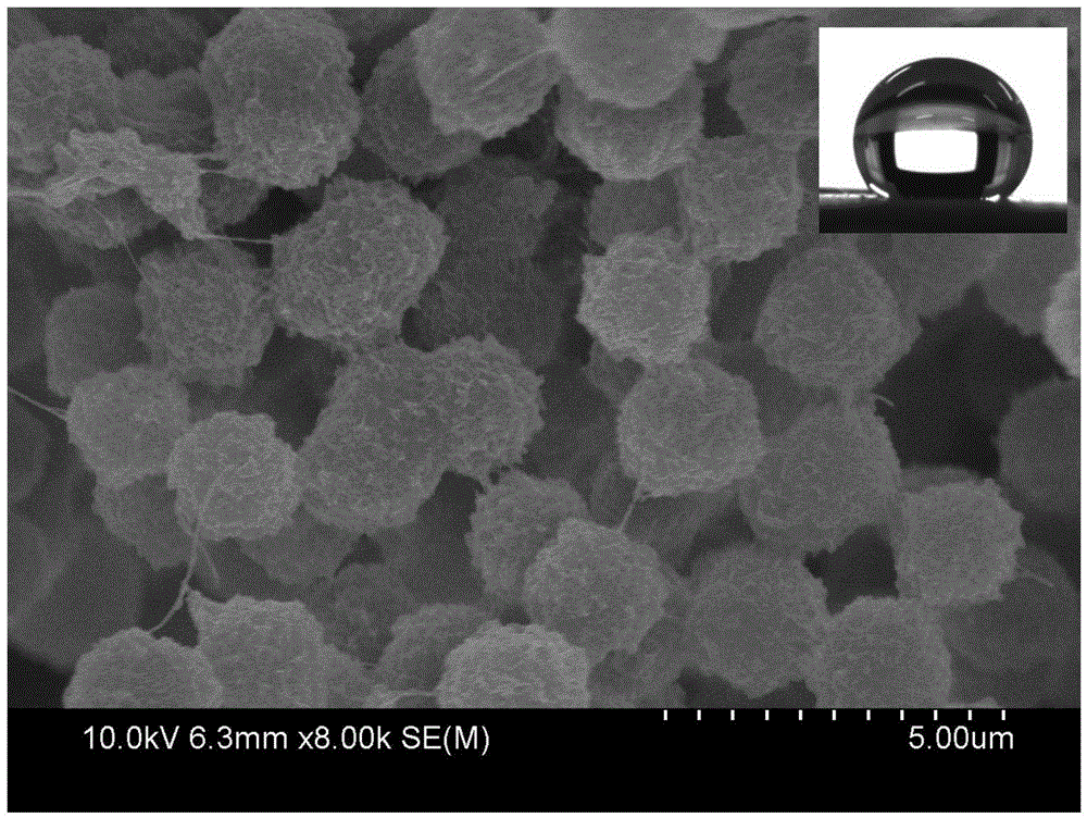 Production formula and method of PVDF (polyvinylidene fluoride)/carbon nano-tube super-hydrophobic film