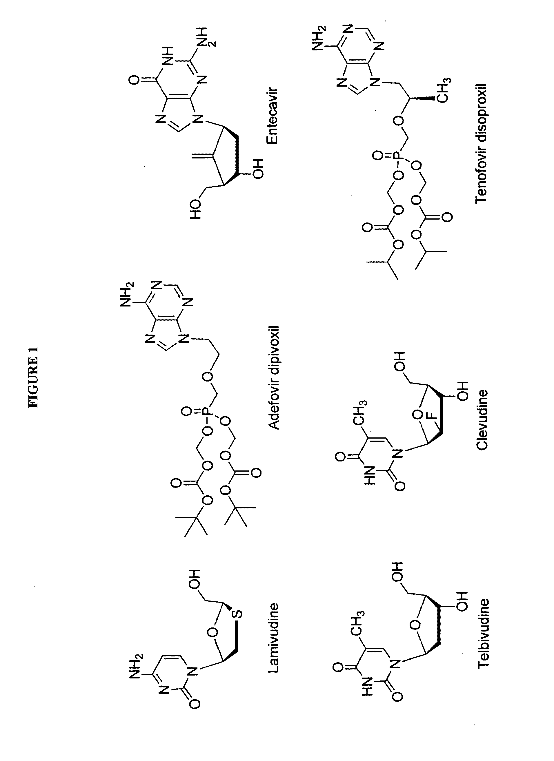 2'-Fluoro-6'-Methylene Carbocyclic Nucleosides and Methods of Treating Viral Infections