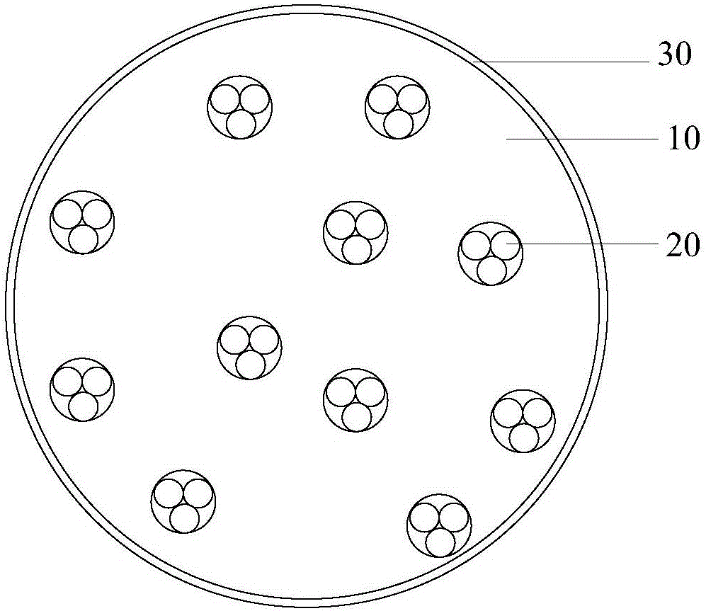 Capsule quantum dots and light emitting method, preparation method and display apparatus