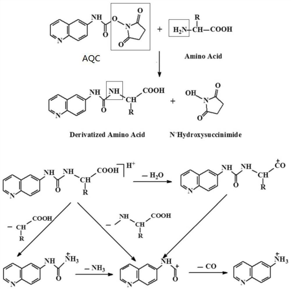 Serum diaminopimelic acid detection kit based on liquid chromatography-mass spectrometry, detection method and application