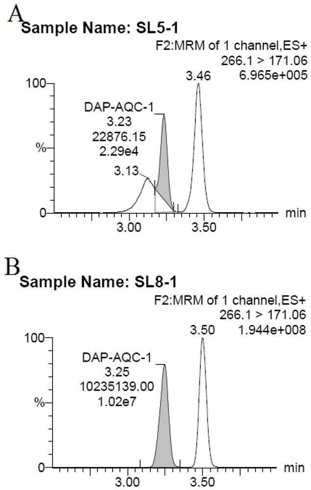 Serum diaminopimelic acid detection kit based on liquid chromatography-mass spectrometry, detection method and application