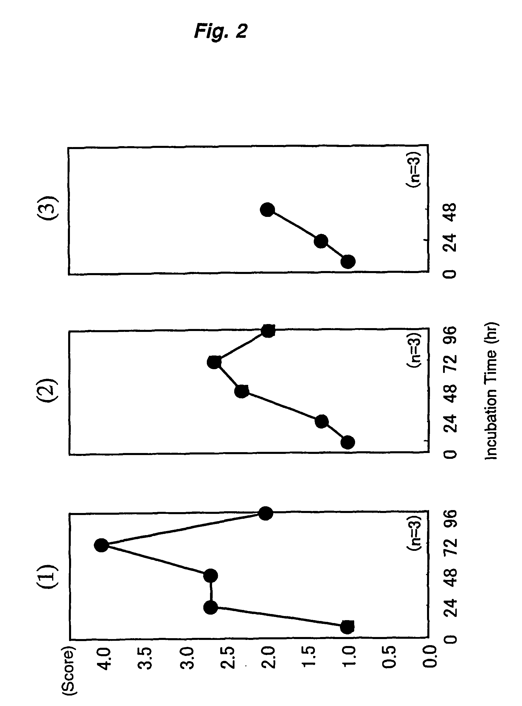 Equol-producing lactic acid bacteria-containing composition