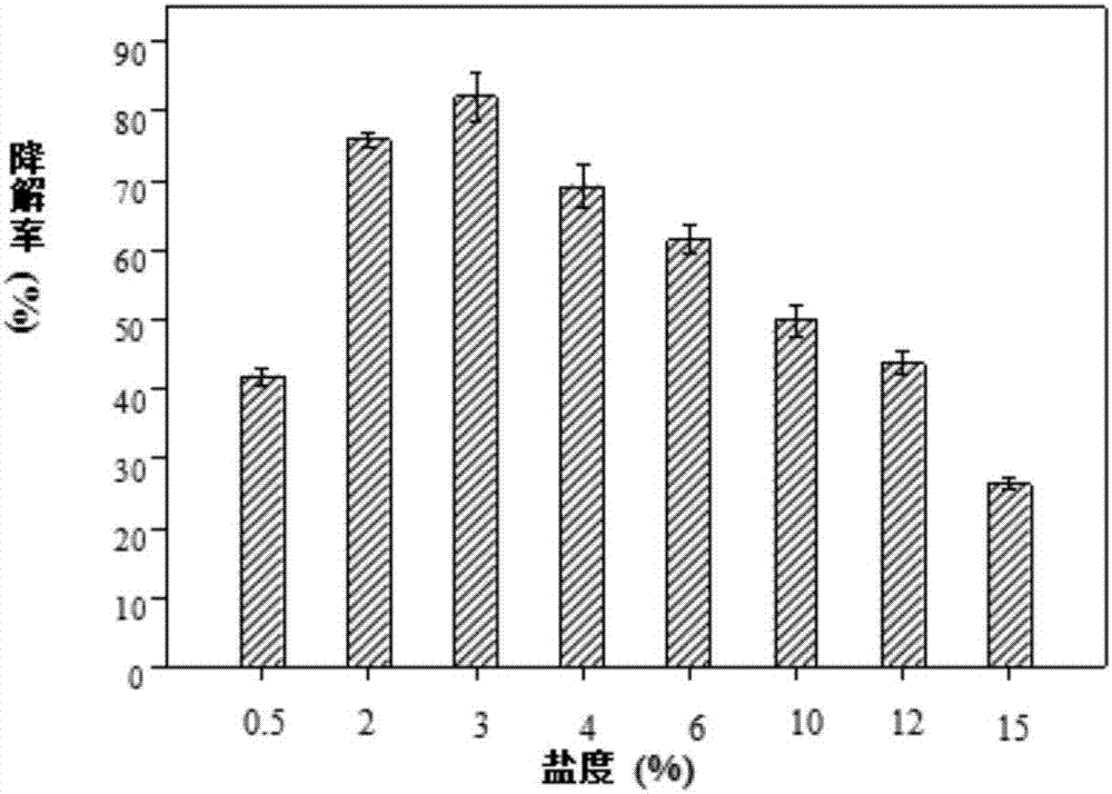 Moderate halophilic aromatic pollutant degrading bacteria and application thereof