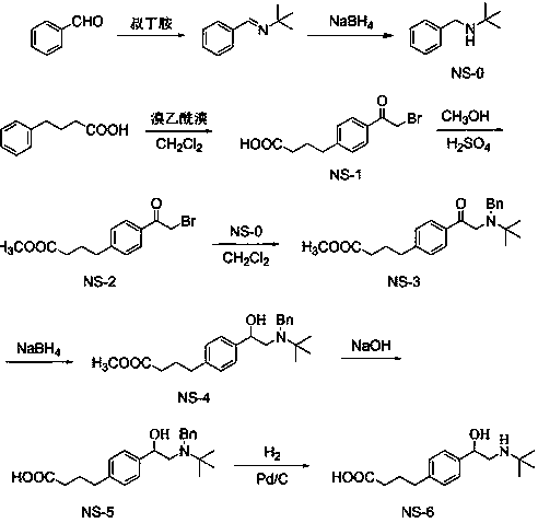 An immunoelectrochemical sensor for detecting seven β-adrenergic receptor agonists, its preparation method and application