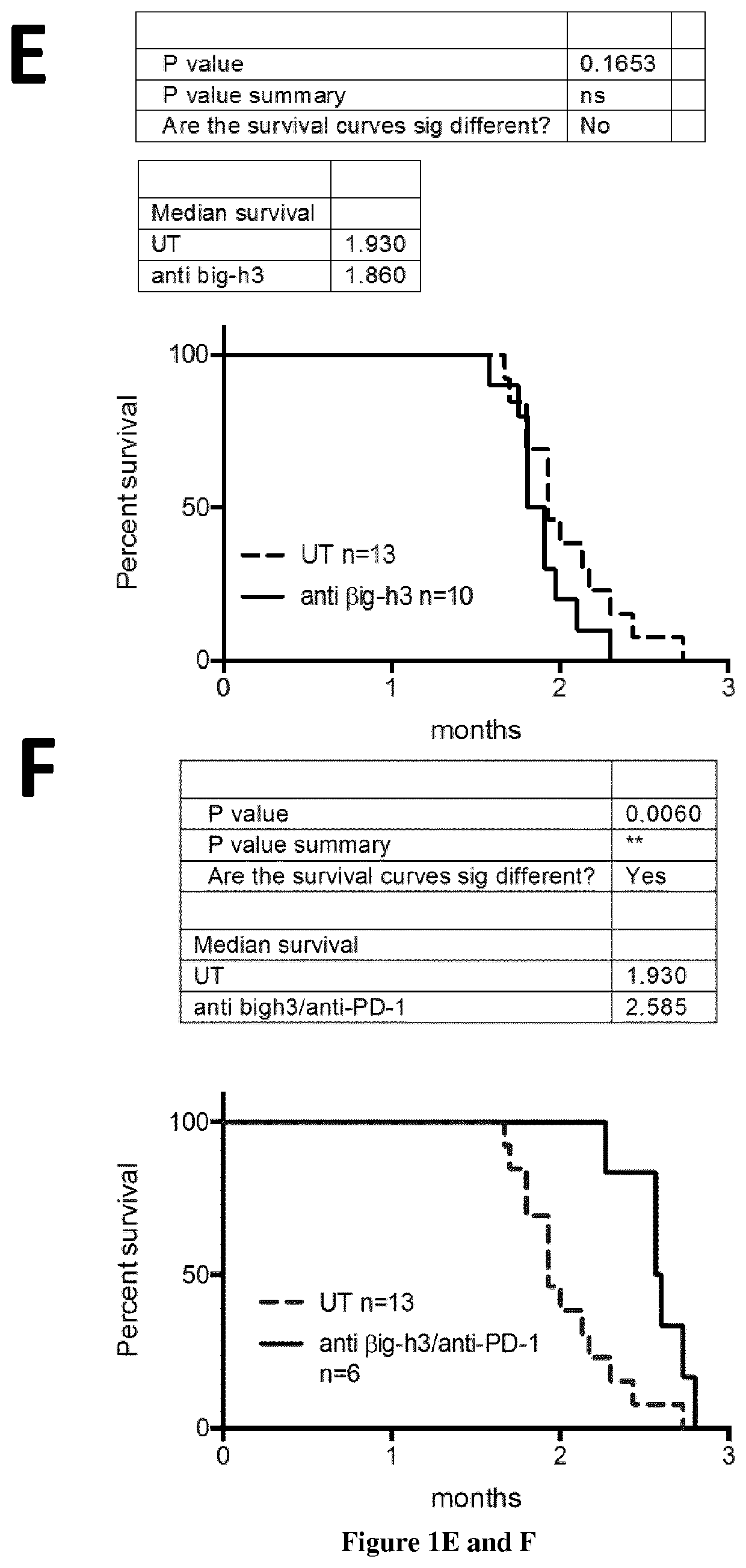 Combination of a big-h3 antagonist and an immune checkpoint inhibitor for the treatment of solid tumor