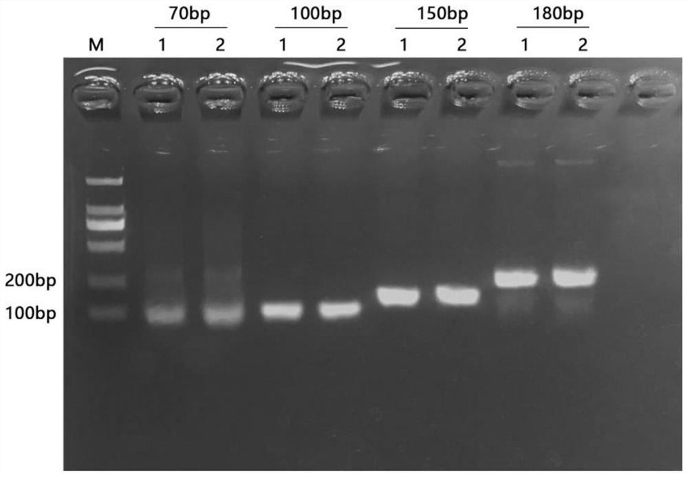 A method for extremely fast nucleic acid amplification and its equipment and application