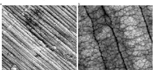 Preparation method of tungsten-based sealing material chemical Ni-P coating