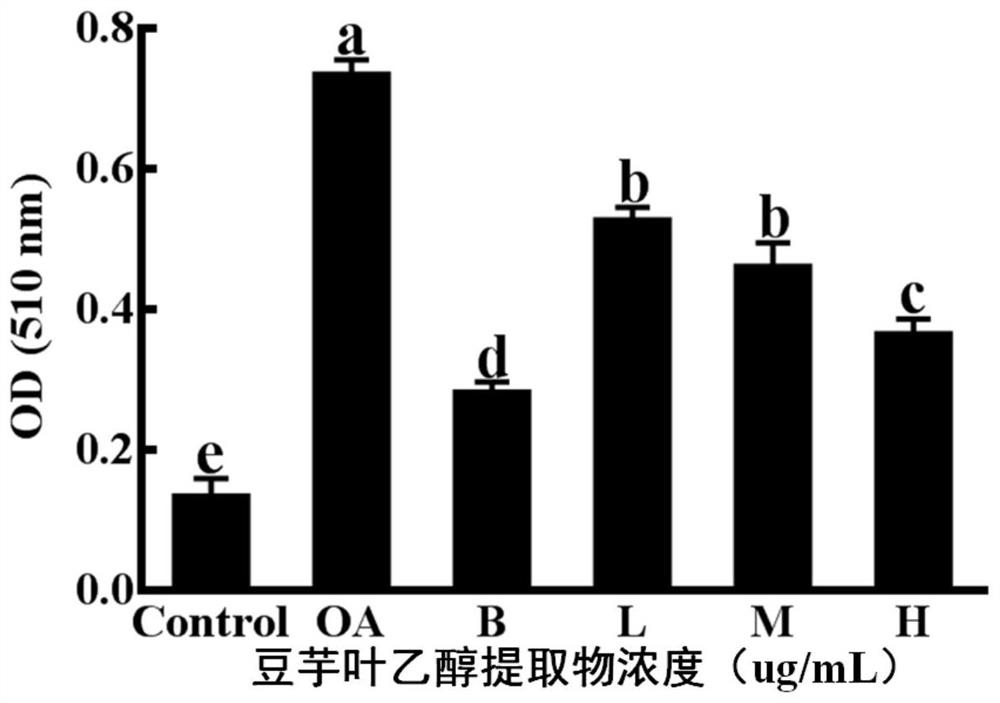 Application of ethanol extract of bean taro leaves in reducing lipid deposition in liver cells
