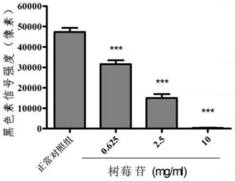 Whitening cosmetic composition as well as preparation method and application thereof