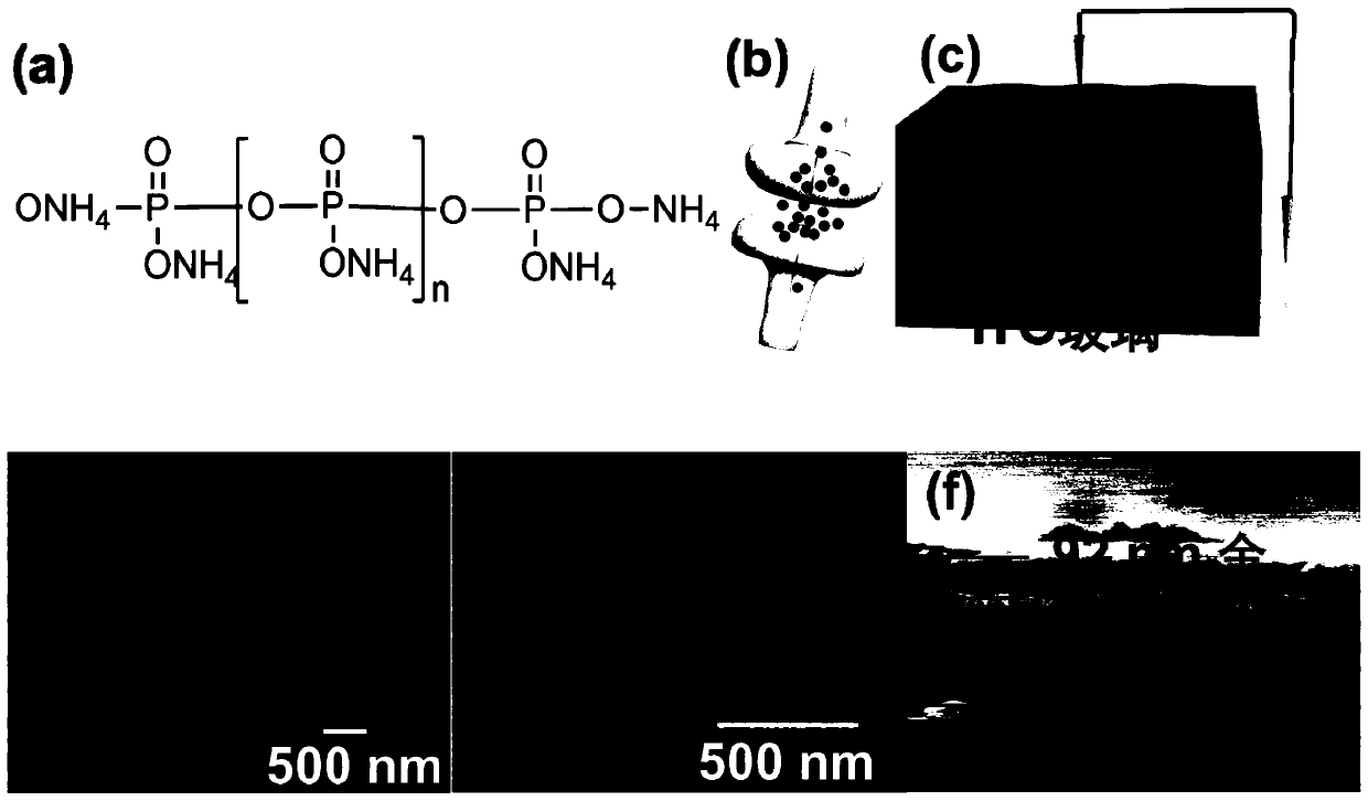 Ammonium polyphosphate memristor and preparation method thereof and application of ammonium polyphosphate memristor in preparation of artificial synaptic simulation device