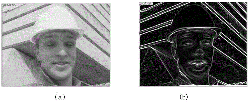 Frame Rate Boosting Method Based on Adaptive Motion Estimation