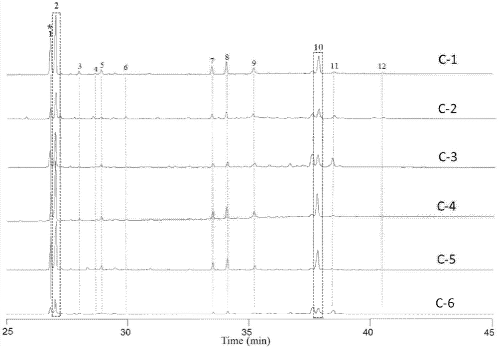 Method for evaluating quality of FRUCTUSSCHISANDRAE SPHENANTHERAE in commercially available Chinese patent medicines by using flash-gas chromatography