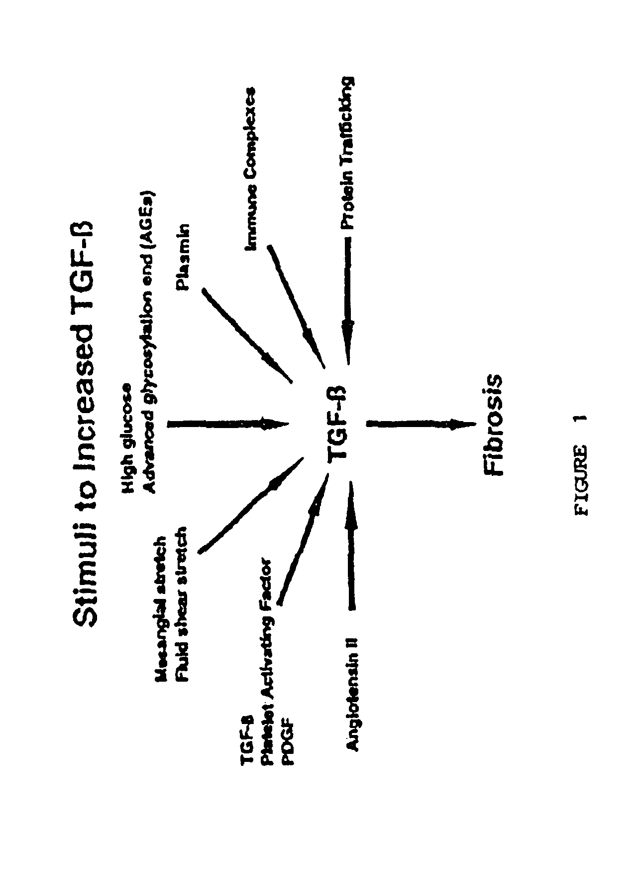 Methods for treating conditions associated with the accumulation of excess extracellular matrix
