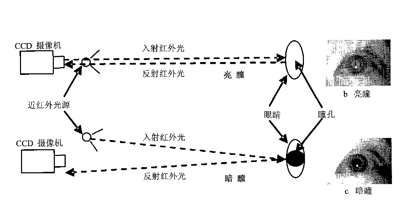 Pupil center-corneal reflection (PCCR) based sight line evaluation method in sight line tracking system