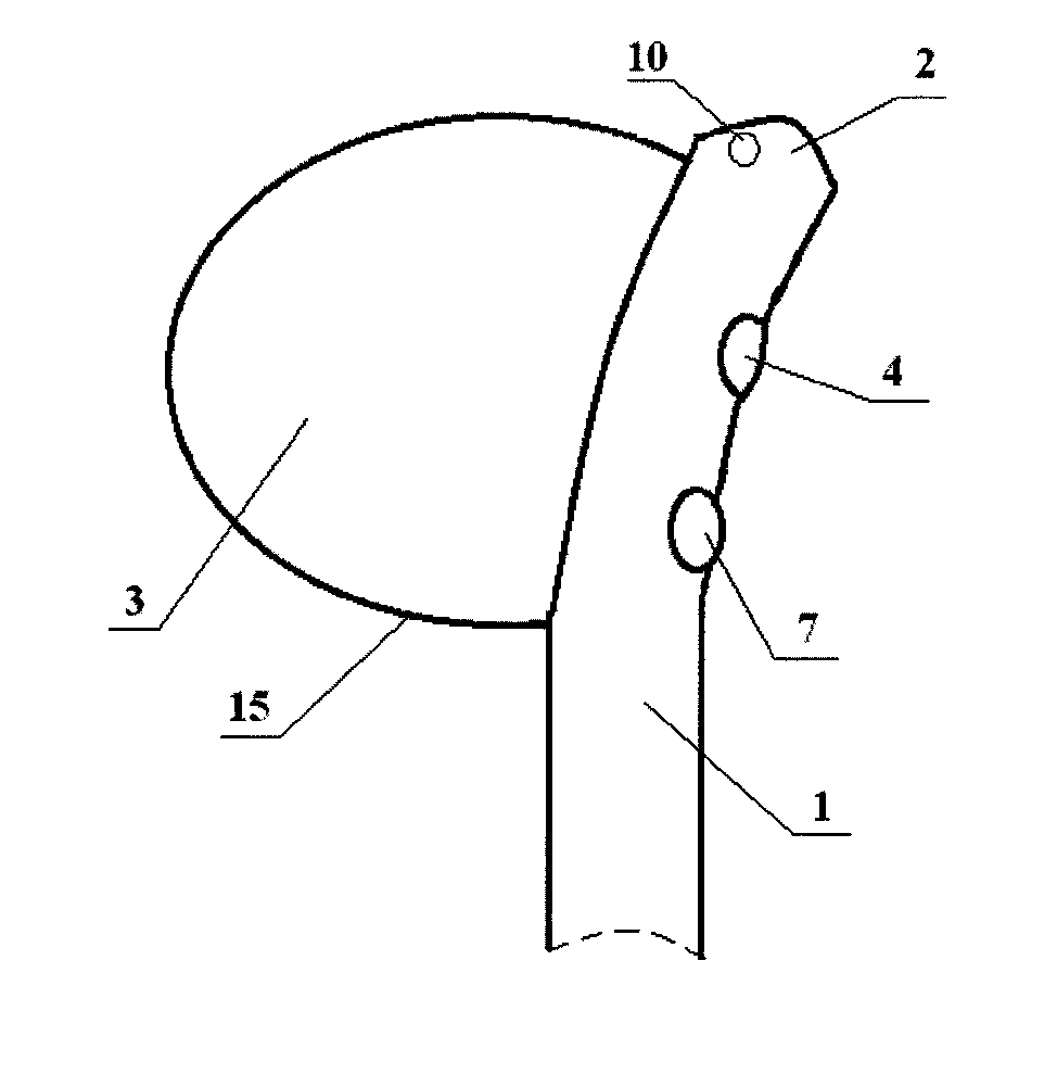 Contact-Limiting Side Balloon Double-Hole Urinary Catheter