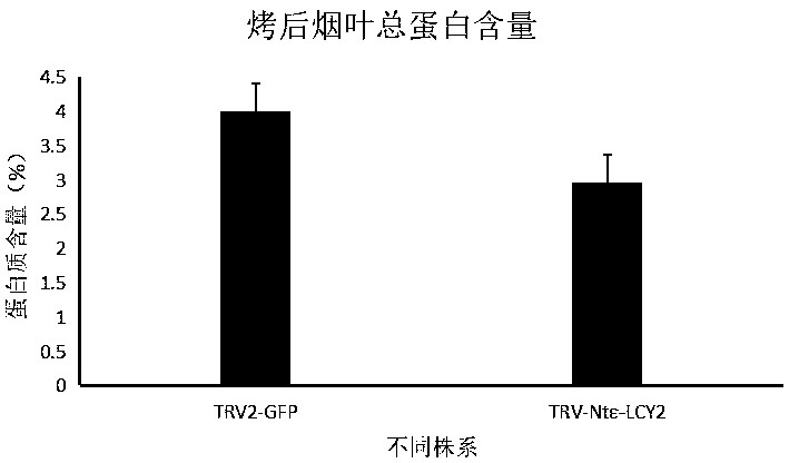 A regulatory gene that reduces the total protein and phenol content of tobacco leaves