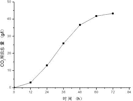 Screening and application of yeast CGMCC 4740 for high production of ethanol and low production of fusel oil in production of Chinese Maotai-flavor liquor