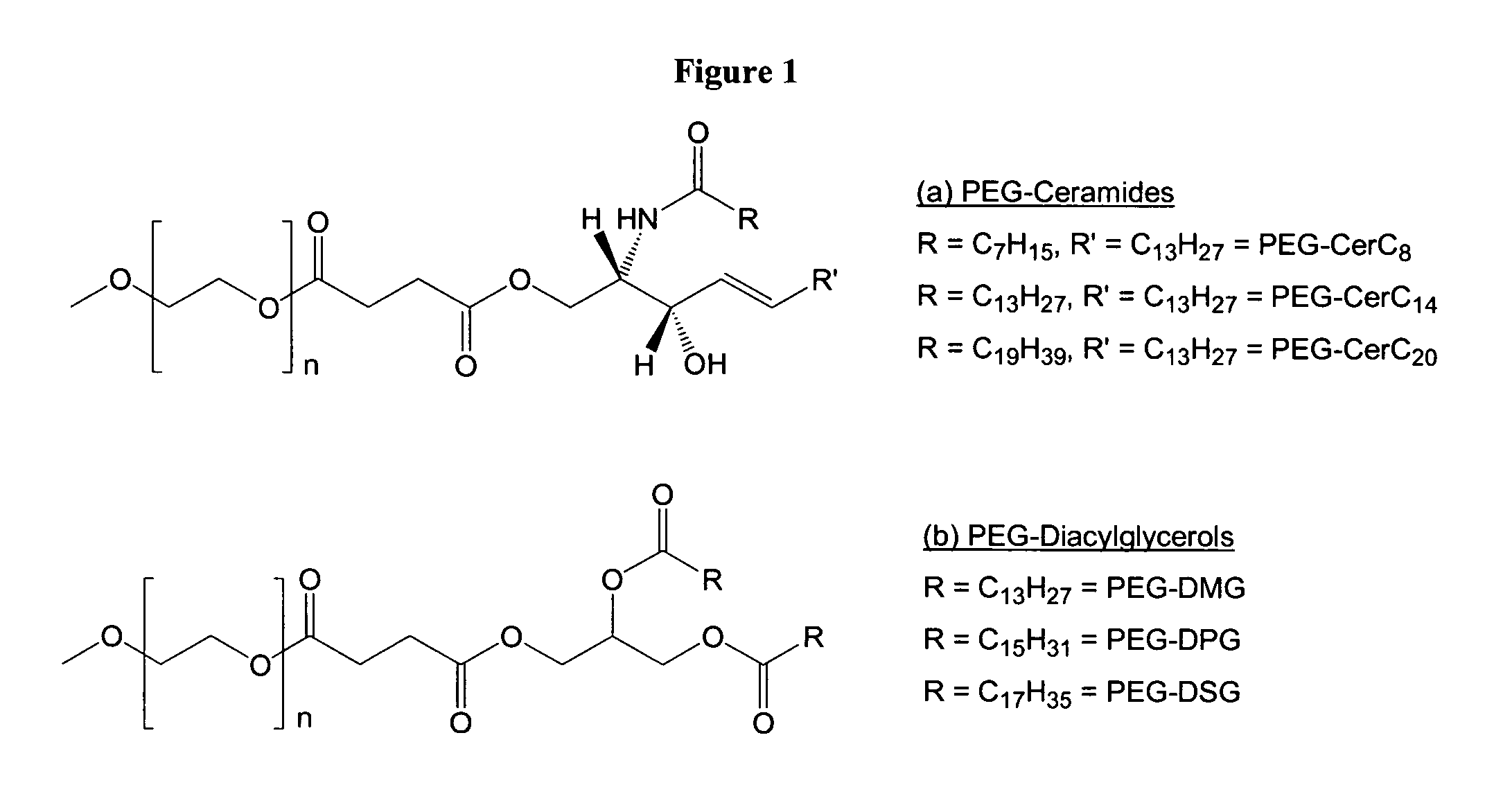 Compositions for the delivery of therapeutic agents and uses thereof