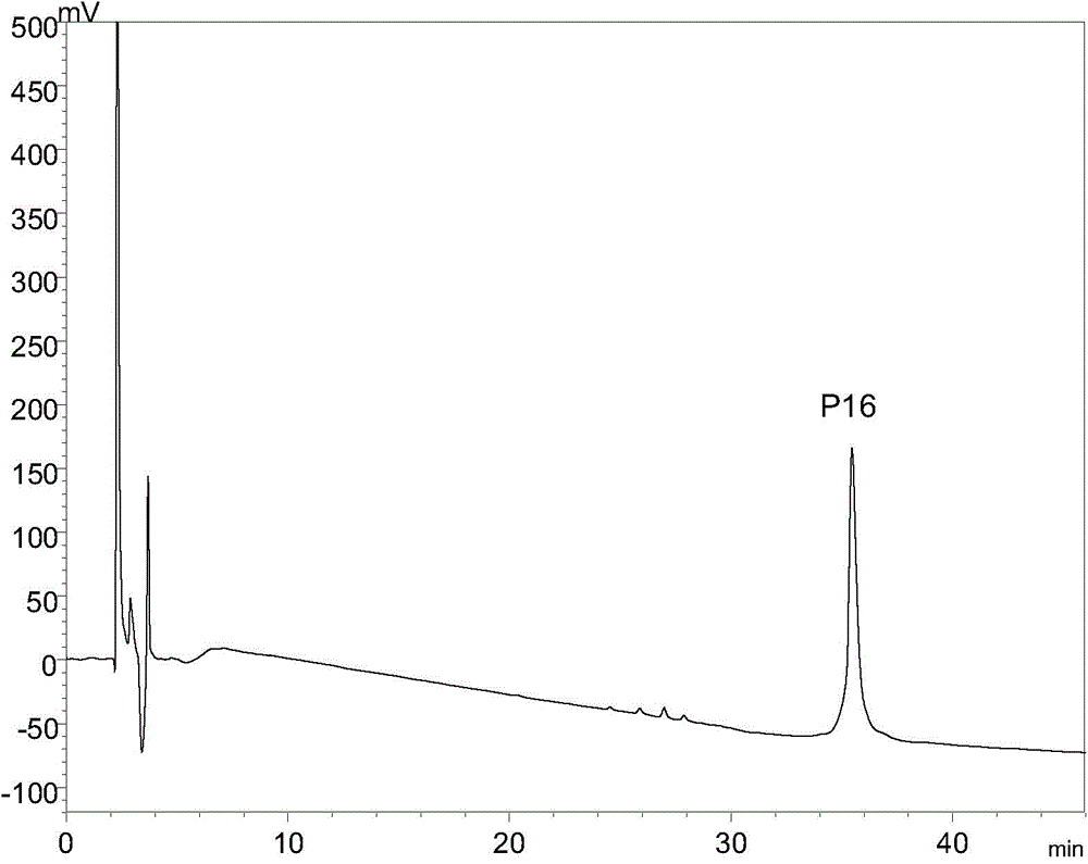 Antihypertensive peptide P16 as well as preparation method and application thereof