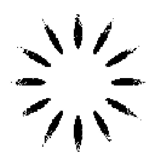 Central coaxial powder feeding type supersonic laser spraying method