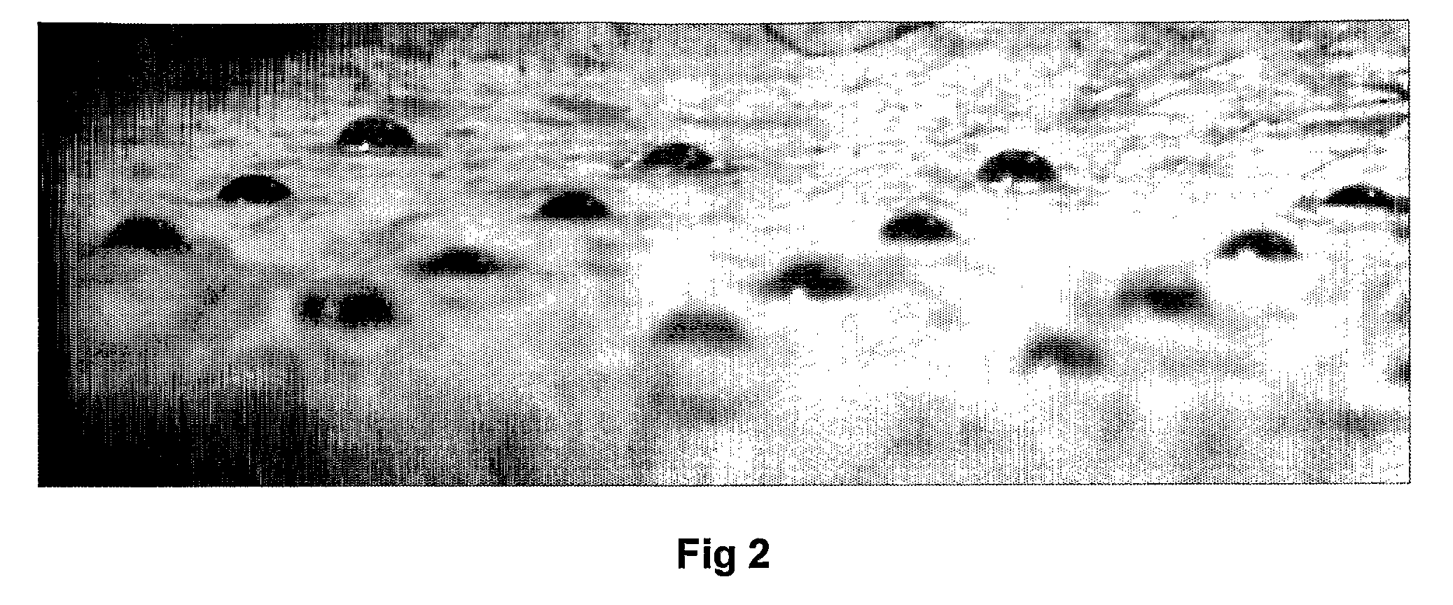 Method and apparatus for manipulating single cells and small aggregates thereof