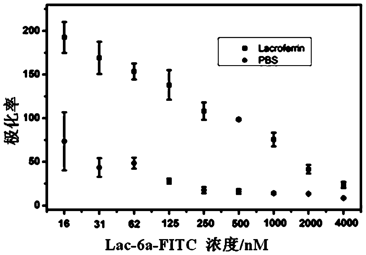 An aptamer for detecting lactoferrin content and its application