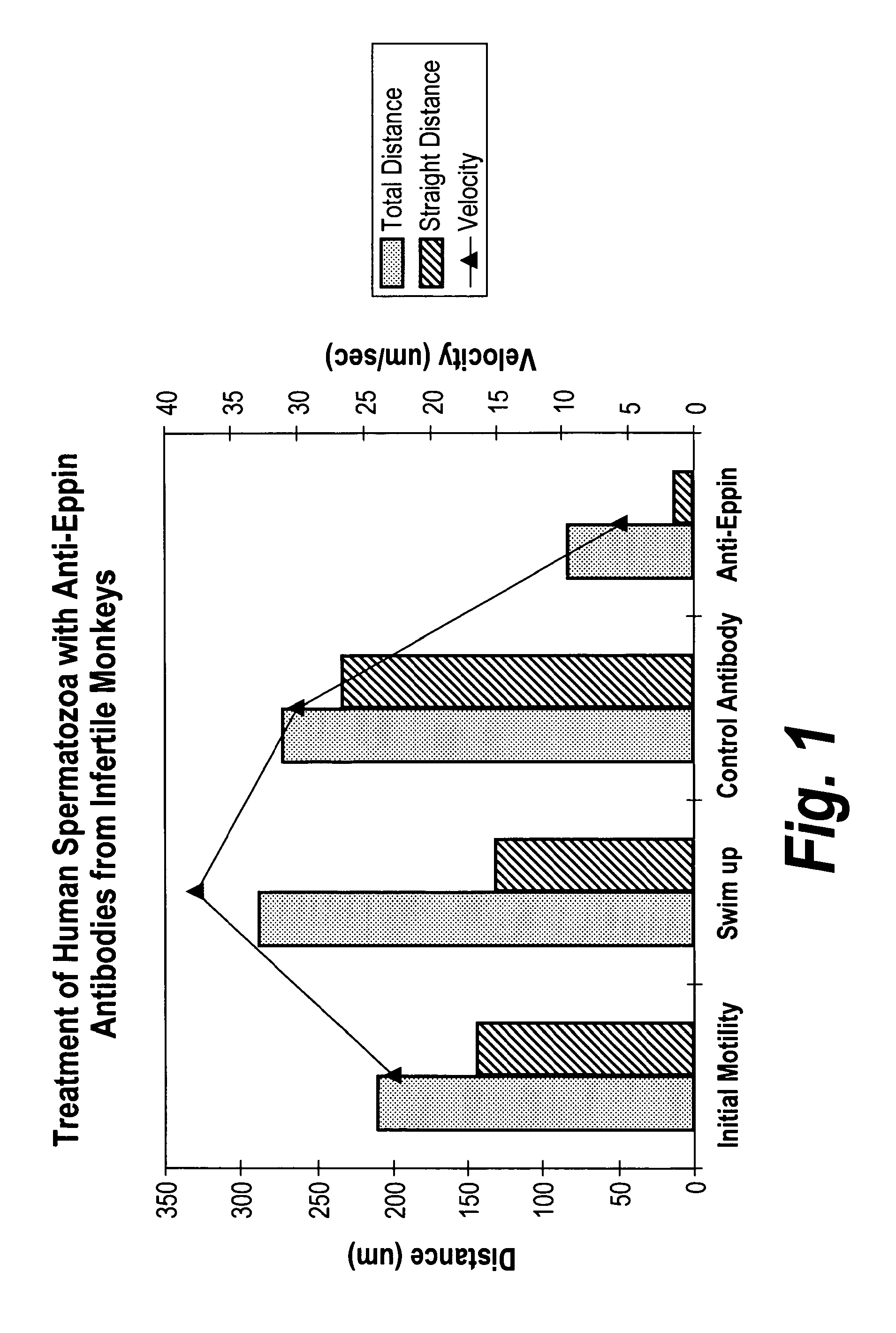 Inhibitors of eppin/semenogelin binding as male contraceptives