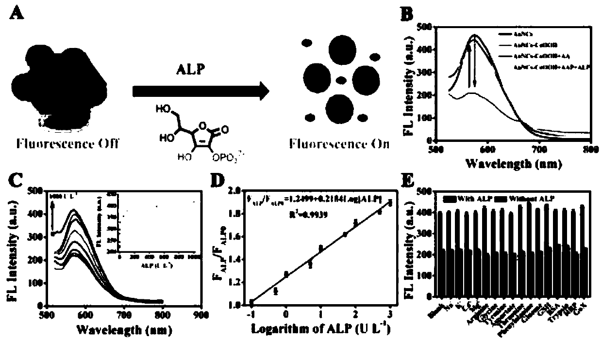 Imidacloprid fluorescence immunoassay method based on gold nano-cluster anchored hydroxy cobalt oxide nanosheet