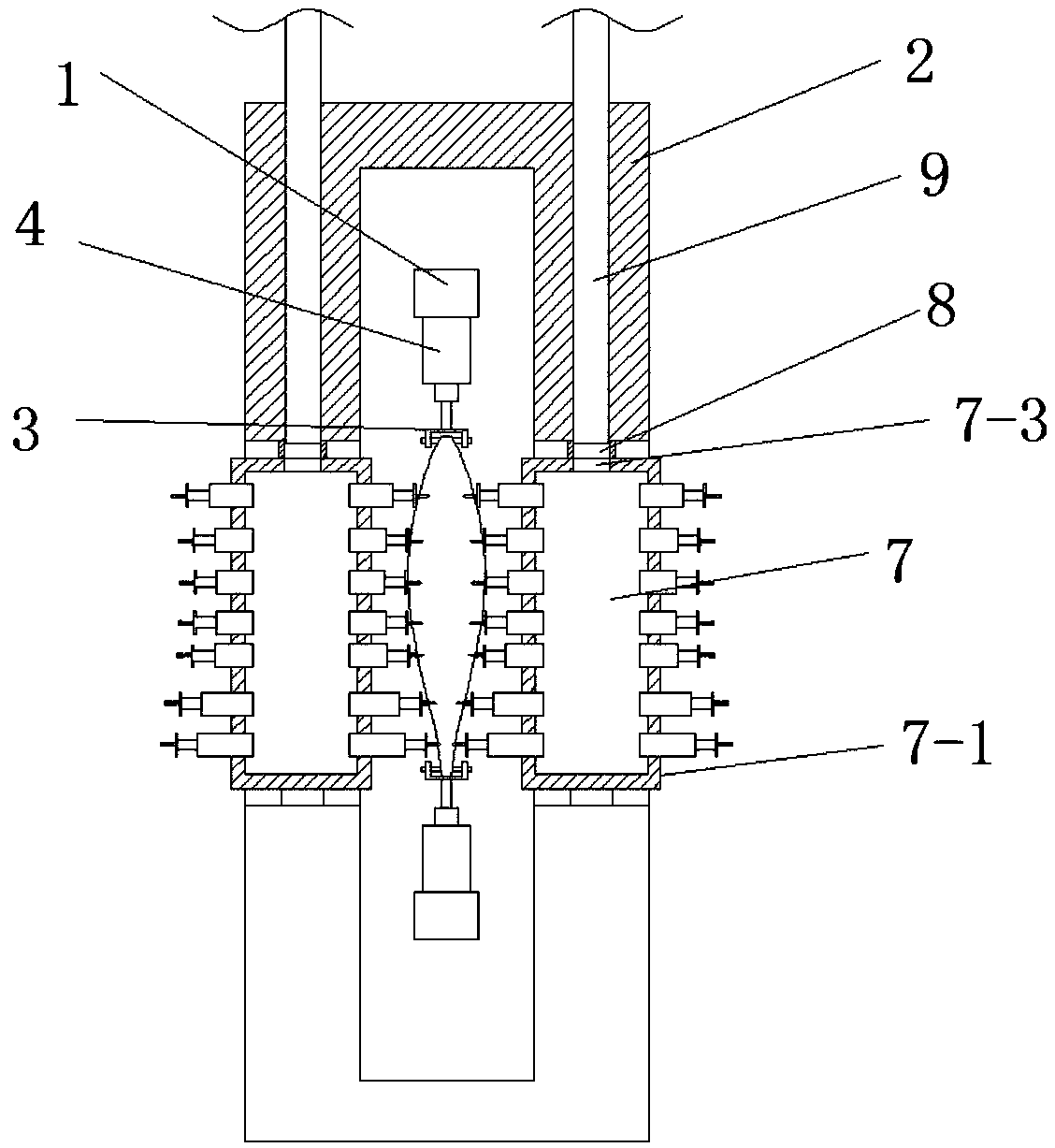 Injection device for automatic salted fish processing device