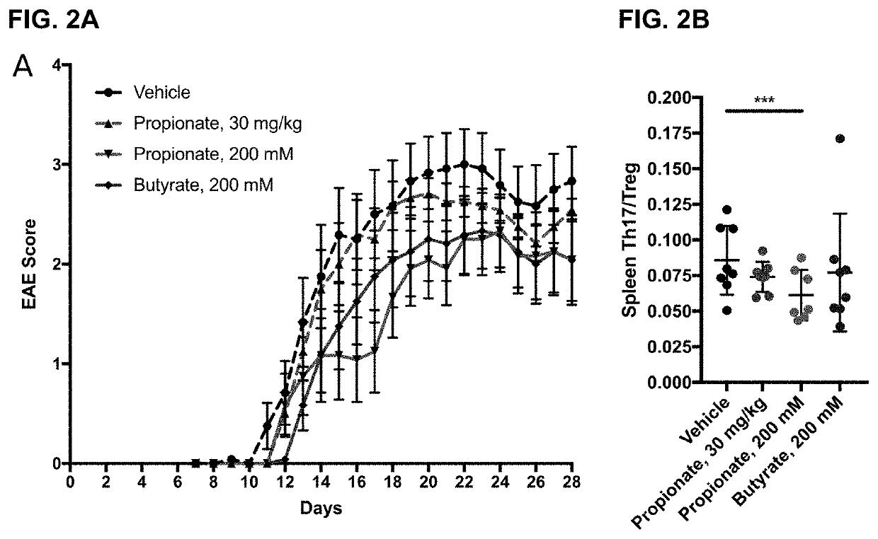 Monomethyl fumarate-carrier conjugates and methods of their use