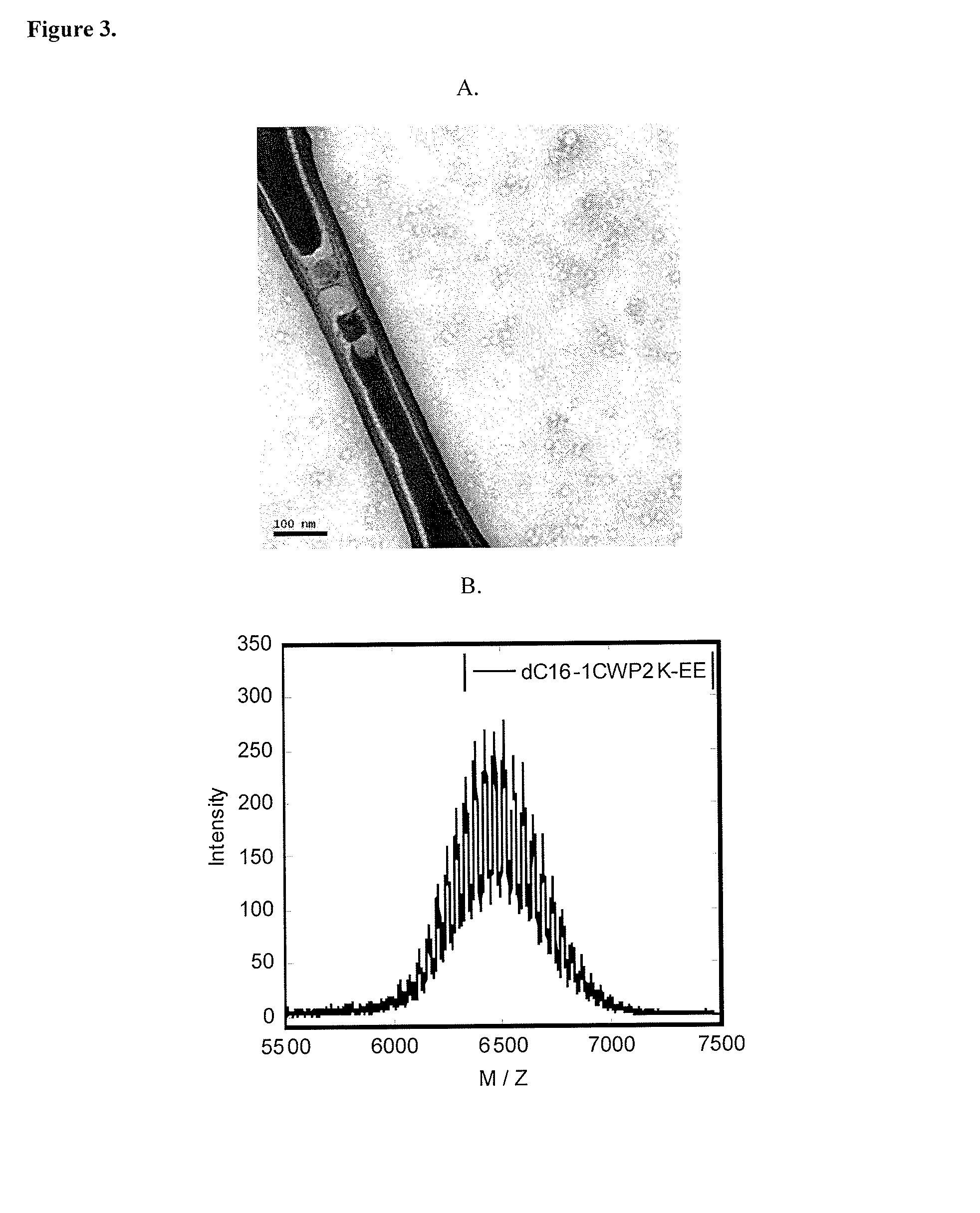 Lipid-peptide-polymer conjugates and nanoparticles thereof
