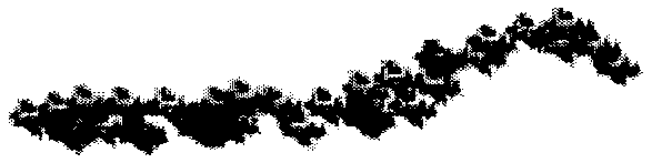 Floating enteromorpha biomass monitoring method