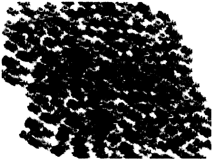 Floating enteromorpha biomass monitoring method