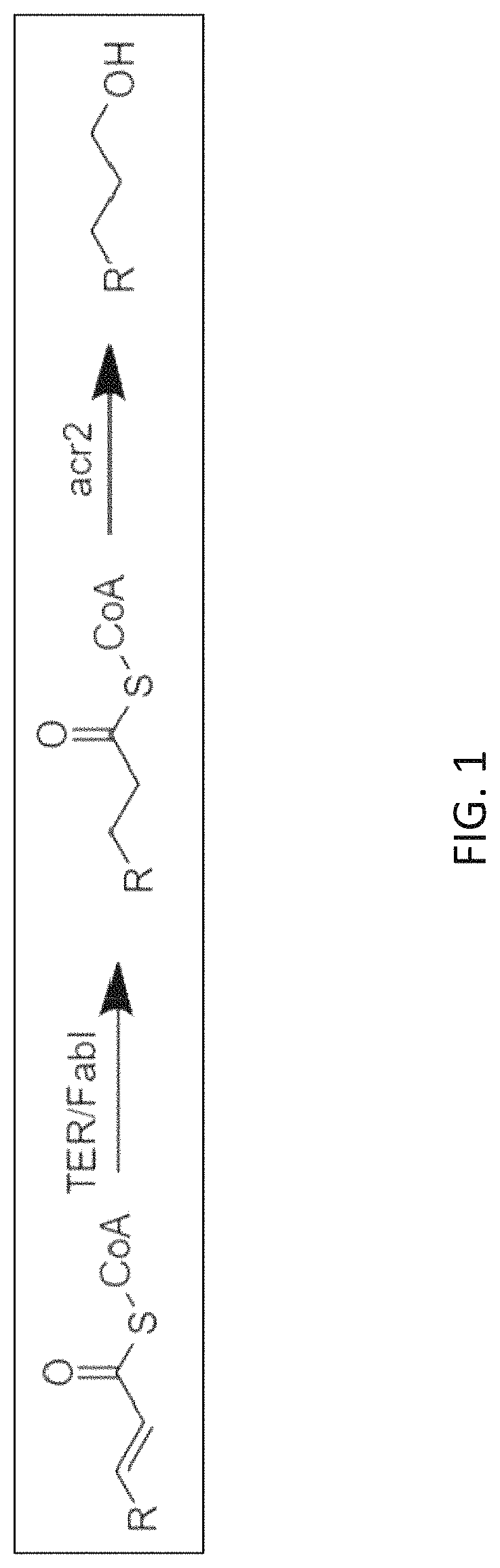Engineered microbes for conversion of organic compounds to medium chain length alcohols and methods of use