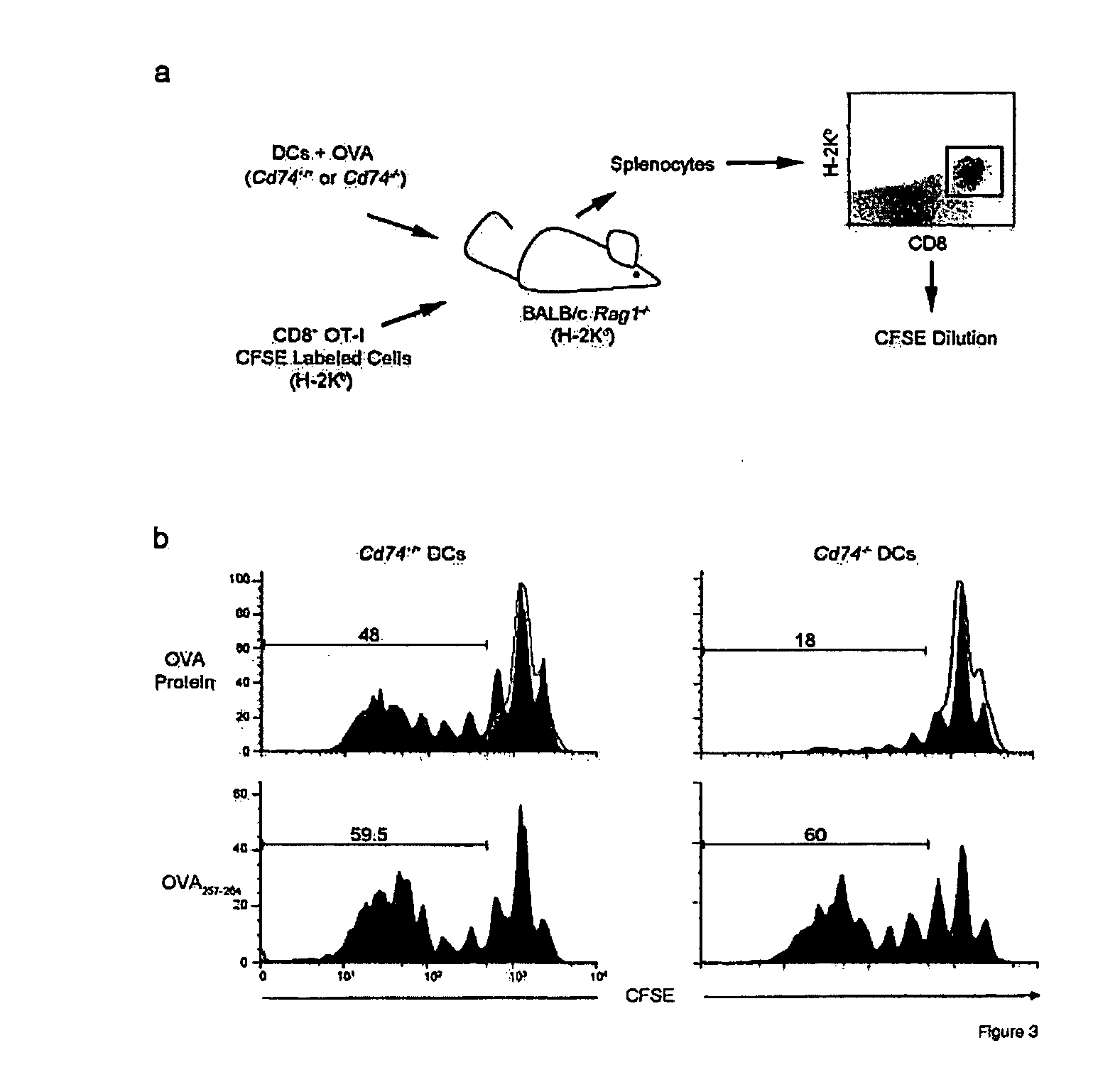 Compositions and methods of modulating an immune response
