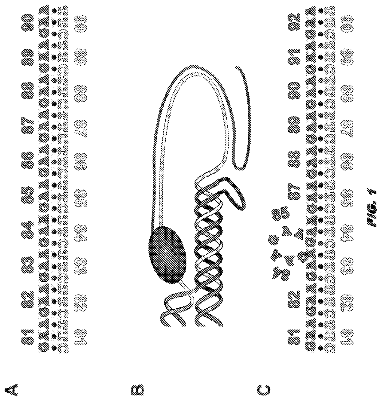 Compositions and uses for treatment thereof