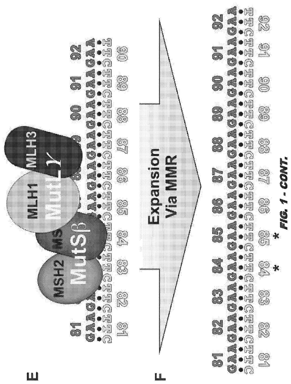 Compositions and uses for treatment thereof