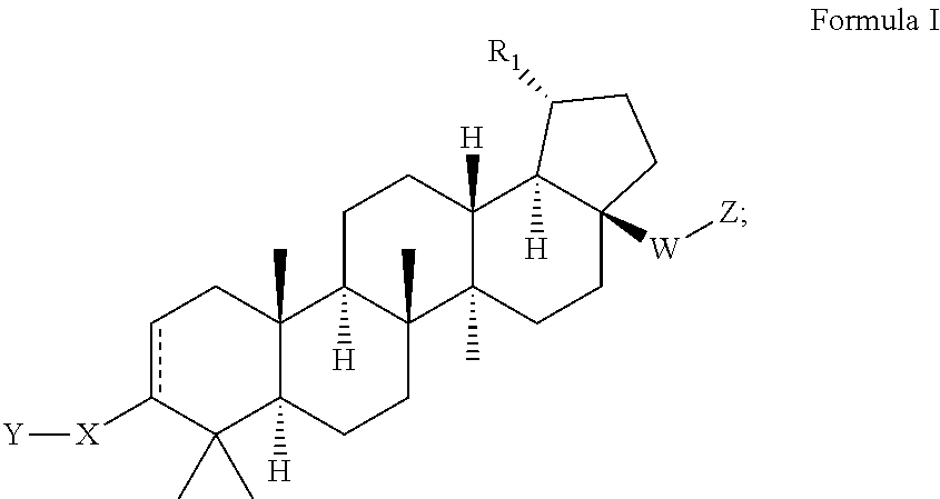 C17-aryl substituted betulinic acid analogs