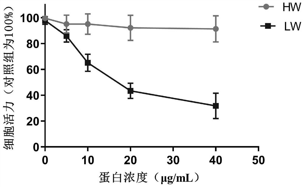 Preparation method for extracting and separating anti-tumor active protein from shiitake mushrooms