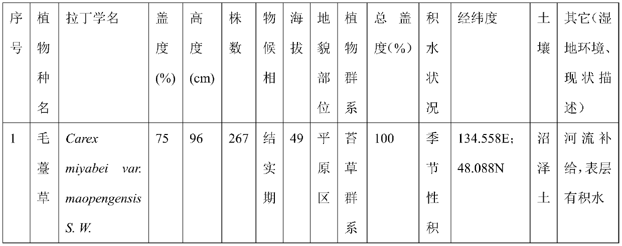 Method for judging vegetation recovery of plots as wetlands returned from grain plots in plain areas, vegetation recovery method and vegetation recovery effect evaluating system