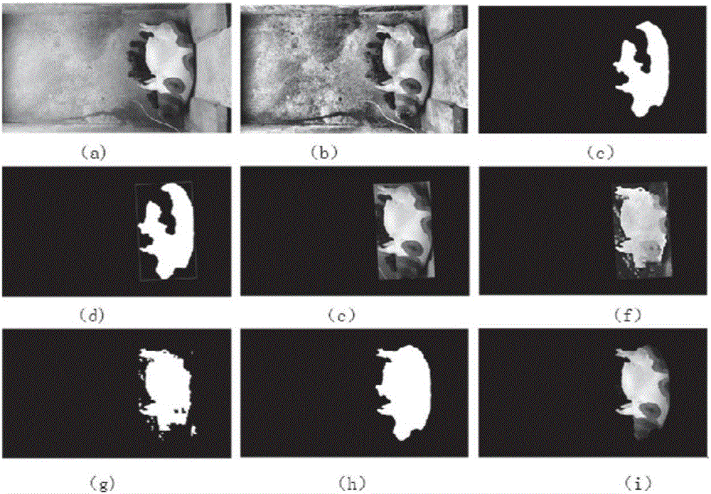 Lactating sow image segmentation method integrated with FCN and threshold segmentation