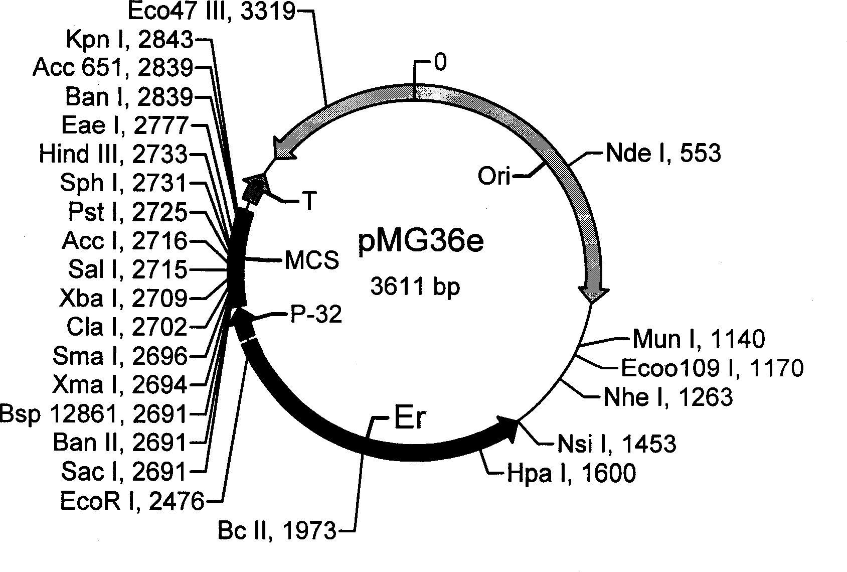 Non-antibiotics resistant shuttle plasmid expression carrier and its constructing method and uses
