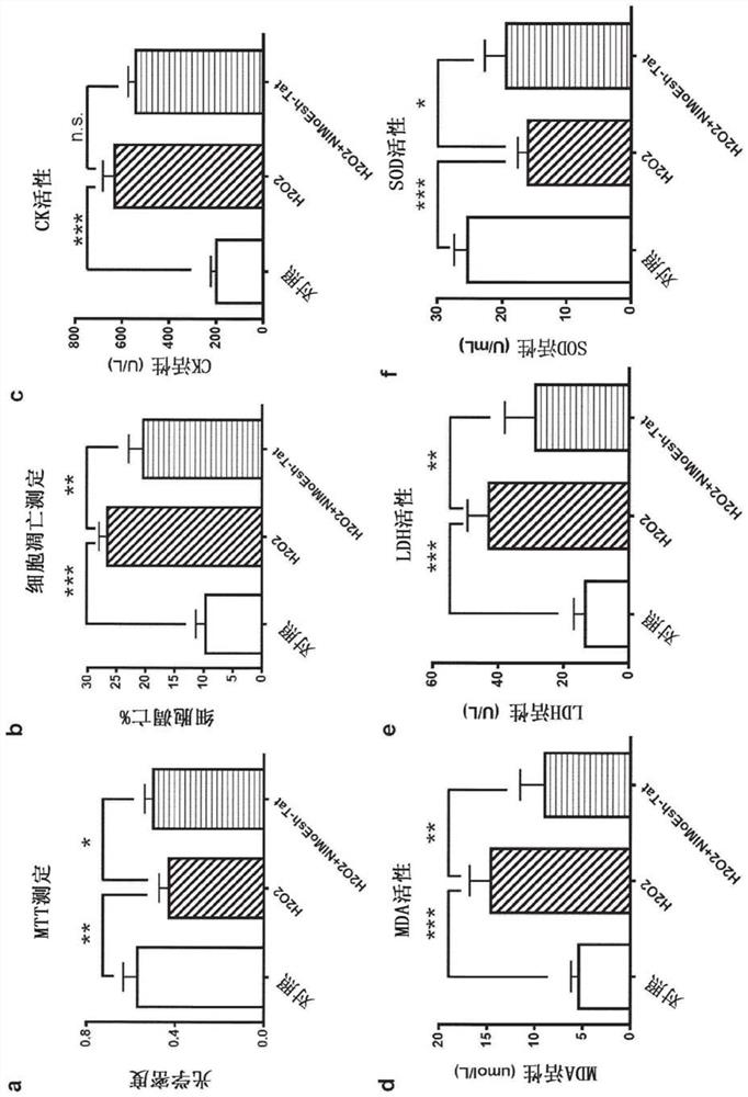 Inhibition of ZD17-JNK interaction as therapy for acute myocardial infarction