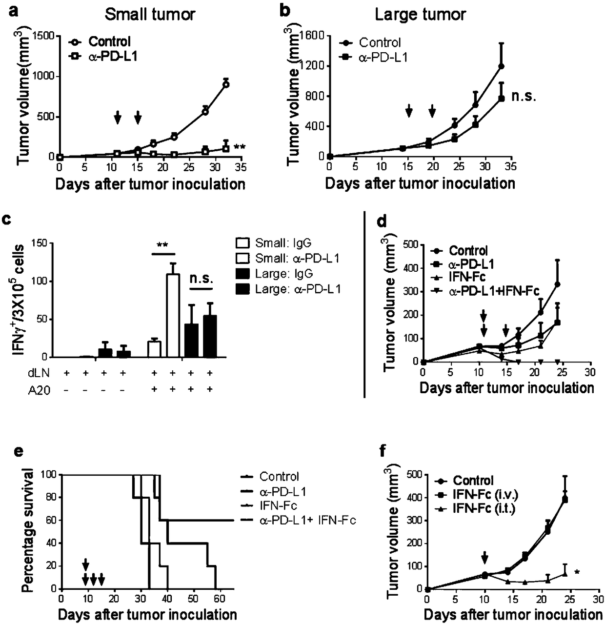 Fusion protein of IFN and anti-PD-L1 antibody and application thereof