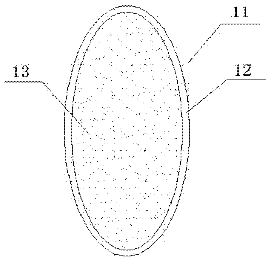 Whole grain compound rice containing embryo and fabrication technique