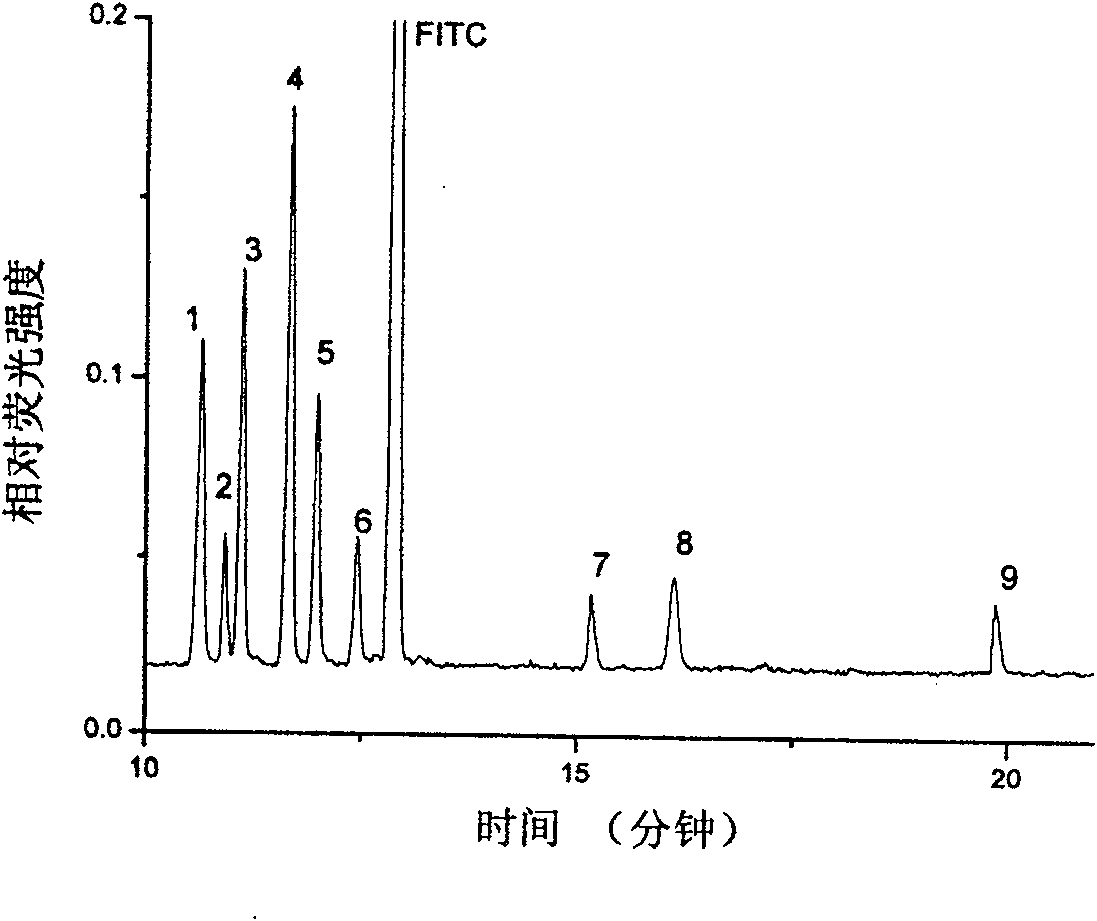 Detecting instrument on capillary electrophoresis-multi-photon excitation fluorescent column