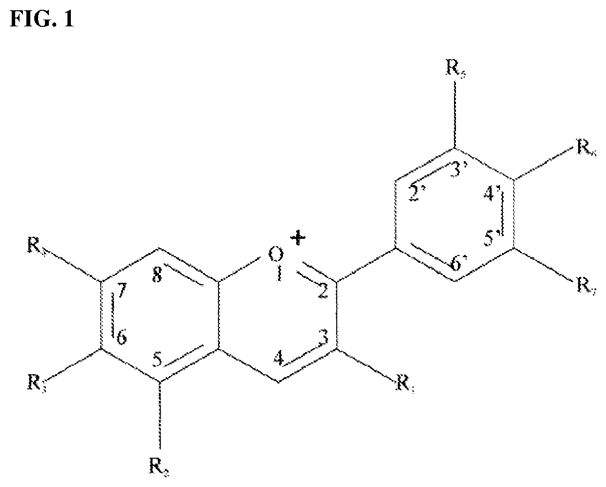 Altered pigment deposition in <i>Tagetes patula</i>