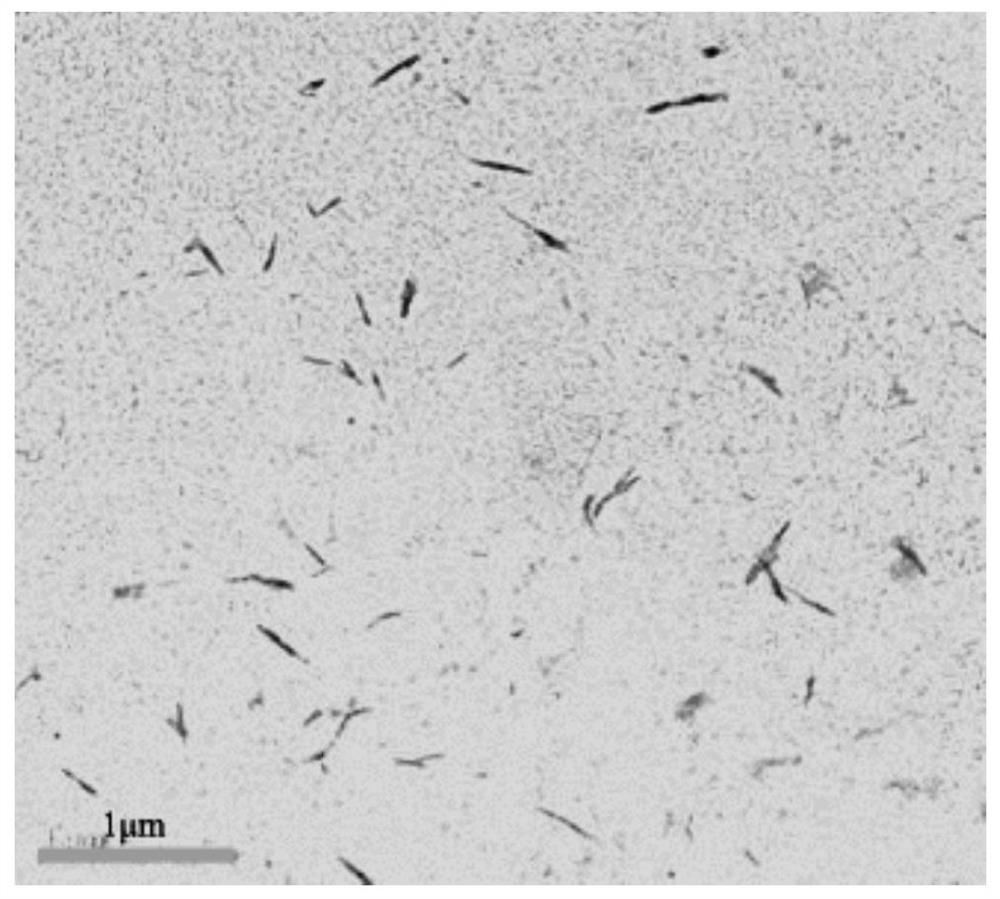A kind of cellulase suitable for preparing cellulose nanocrystal and its application